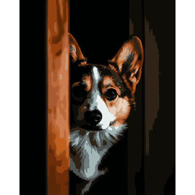 Картина за номерами Strateg Коргі на чорному фоні 40Х50 (AH1294) AH1294