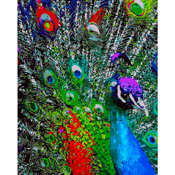 Картина по номерах Різнобарвне піря павлина Strateg 40х50 см GS171