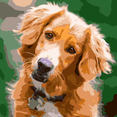 Картина за номерами Грайливий пес Strateg 40х40 см SK010 Картина за номерами Грайливий пес Strateg 40х40 см SK010