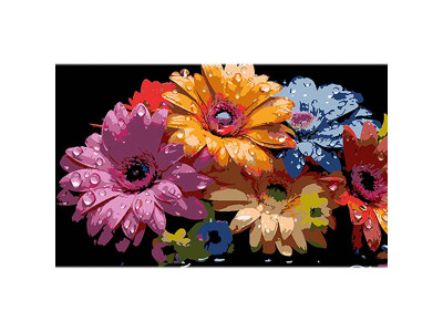 Картина за номерами Феєричні гербери Strateg на чорному фоні 50х25 см BH5025-10