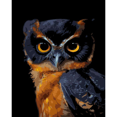 Картина за номерами Strateg Погляд ночі на чорному фоні 40x50 см AH1269