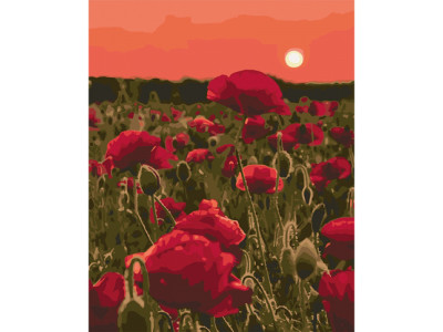 Картина за номерами "Макова долина" 40х50 см КНО3579