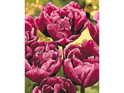 Картина за номерами Вишукана елегантність 40х50 см КНО3057