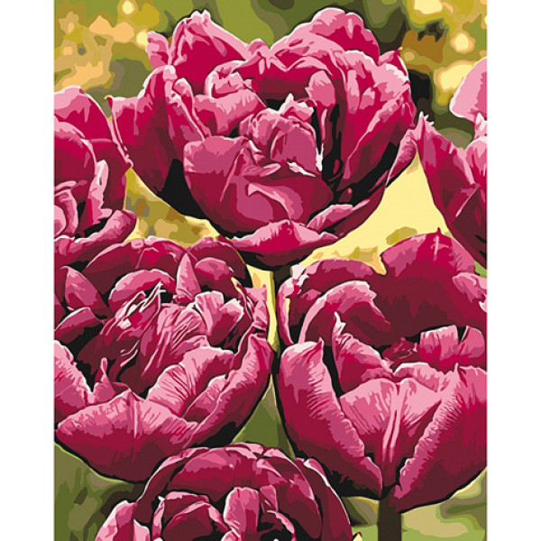 Картина за номерами Вишукана елегантність 40х50 см КНО3057