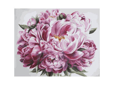 Картина за номерами Пишність 40*50 КНО2077