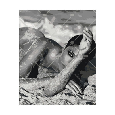 Картина за номерами Спокуса 2 зі срібною фарбою КНО4537