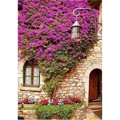 Картина за номерами "Квіткова стіна" 40*50 см GX4476