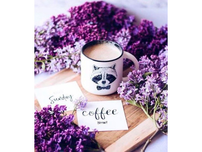 Картина за номерами "Синьінь і кава" тм Лавка Чудес 40 x 50 см у коробці LC40052