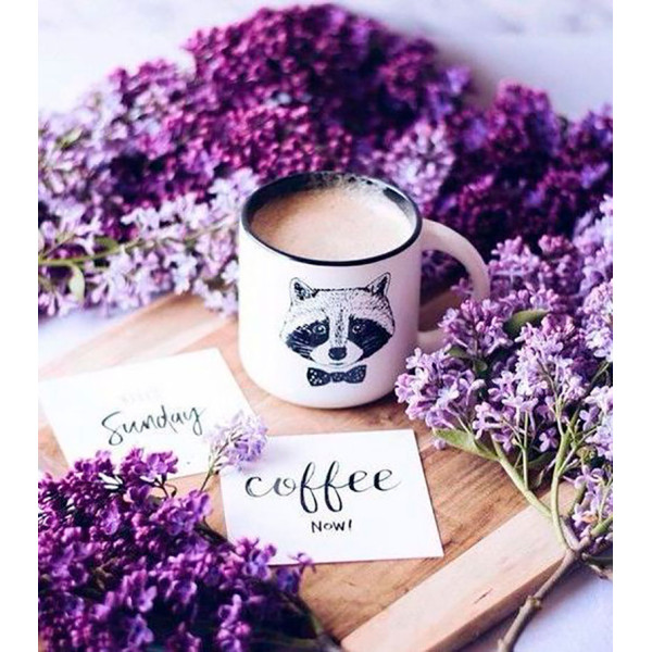 Картина за номерами "Синьінь і кава" тм Лавка Чудес 40 x 50 см у коробці LC40052