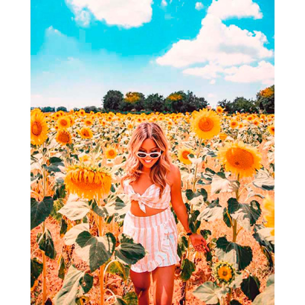 Картина за номерами "Дівчина в соняшниках" LC10049