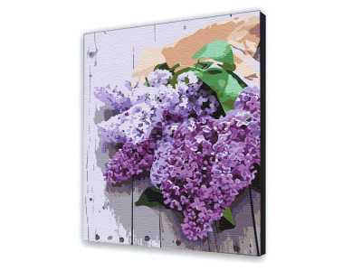 Картина за номерами квіти "Дихання весни" 40х50 см 13111-AC