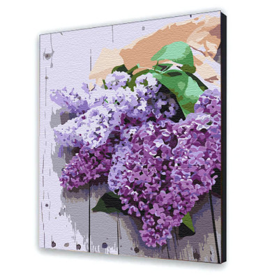 Картина за номерами квіти "Дихання весни" 40х50 см 13111-AC