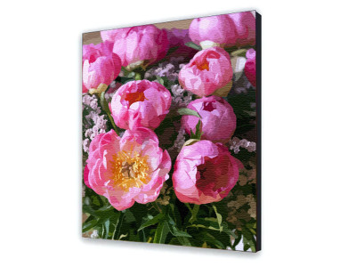 Картина за номерами з лаком ArtCraft квіти "Рожевий шарм" 40х50 см 12125-AC