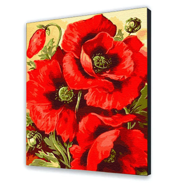 Картина за номерами квіти "Маковий цвіт" 40*50 см 13129-AC