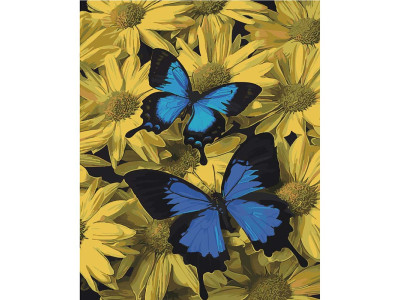 Картина за номерами "Пара метеликів" на кольоровому фоні 40х50 см SY6460.