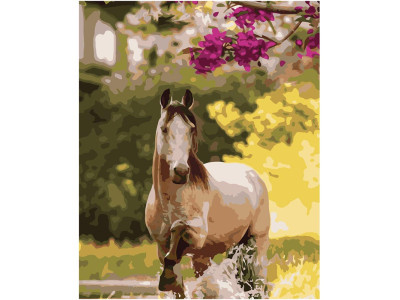 Картина за номерами Stateg Скакун біля квітів 40х50 см SY6691