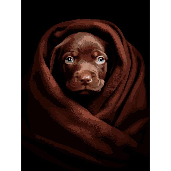 Картина за номерами Strateg Песик у пліді на чорному фоні 30Х40 см FH-26