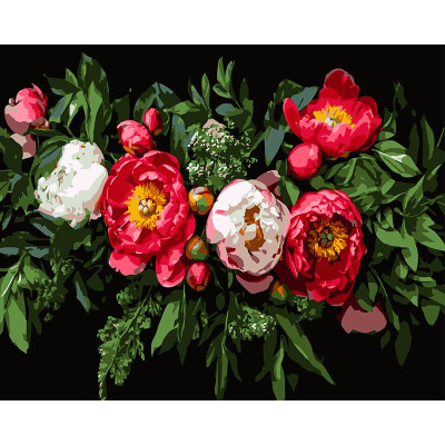 Картина за номерами Strateg Квіткова композиція на чорному фоні 40Х50 см AH1249