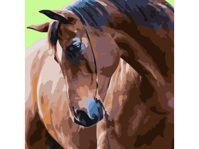 Картина по номерах Гордий кінь Strateg 40х40 см SK026