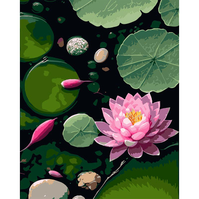 Картина за номерами Strateg Ранкове латаття на чорному фоні 40x50 см AH1265