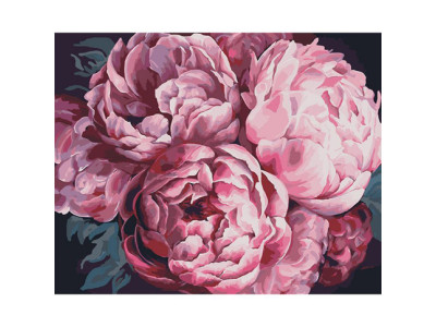 Картина за номерами Надихаючий аромат 40*50 КНО3015