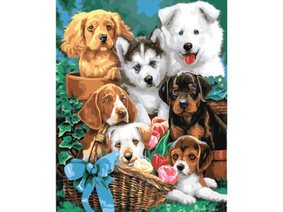 Картина за номерами Щенячий колаж 40*50 см GX4634