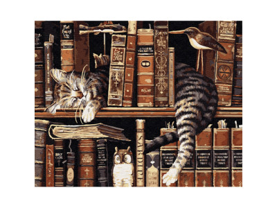 Картина за номерами Сплячий кіт 40 x 50 см GX9557