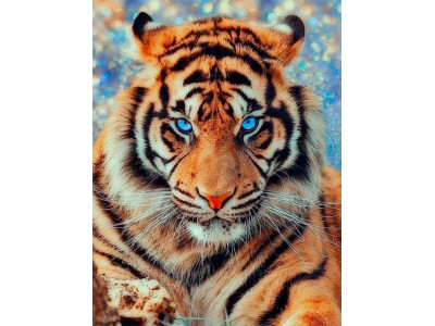 Картина за номерами "Тигр" тм Лавка Чудес 40 x 50 см у коробці LC20003