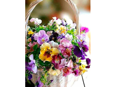 Картина за номерами "Яскравий букет" тм Лавка Чудес 40 x 50 см у коробці LC40036