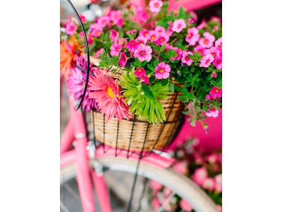 Картина за номерами "Кошик квітів" тм Лавка Чудес 40 x 50 см у коробці LC40094