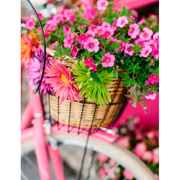 Картина за номерами "Кошик квітів" тм Лавка Чудес 40 x 50 см у коробці LC40094