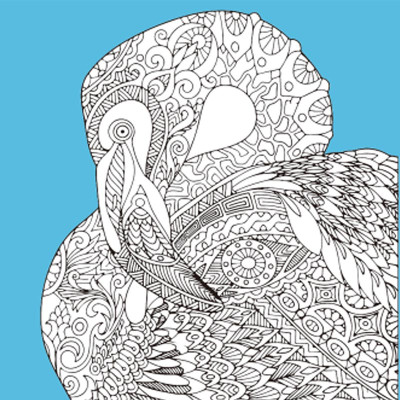 Набір для розпису-антистрес Strateg Чарівний птах 30х30 см JCEE37114