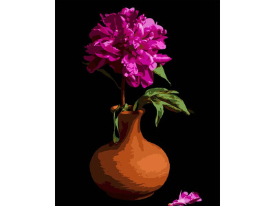 Картина за номерами Stateg Півонія в вазі на чорному фоні 40х50 см AH1188-17