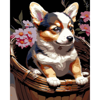 Картина за номерами Stateg Цуценя у кошику на чорному фоні 40х50 см AH1220-19