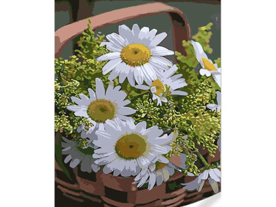 Картина за номерами Stateg Ромашки у кошику на кольоровому фоні 40х50 см (G GS1633