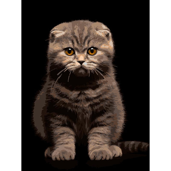 Картина за номерами Strateg Сіре кошеня на чорному фоні 30Х40 см FH-25