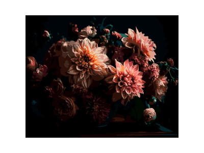 Картина за номерами Strateg Рожеві жоржини на чорному фоні 40Х50 см AH1252