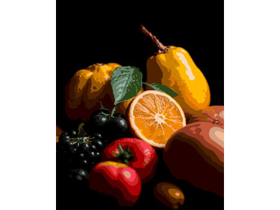 Картина за номерами Strateg Цитрусовий натюрморт на чорному фоні 40Х50 см AH1262