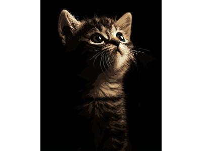 Картина за номерами Strateg Маленьке кошеня на чорному фоні 40Х50 см AH1276