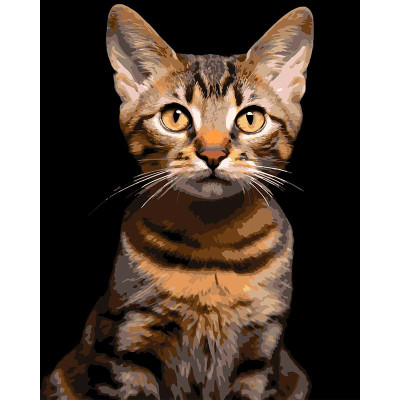 Картина за номерами Strateg Смугастий кіт на чорному фоні 40Х50 (AH1284) AH1284