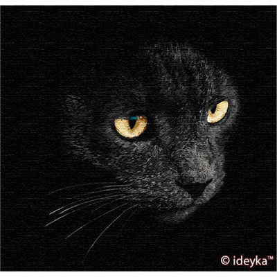 Картина за номерами "Погляд хижака" КНО4204