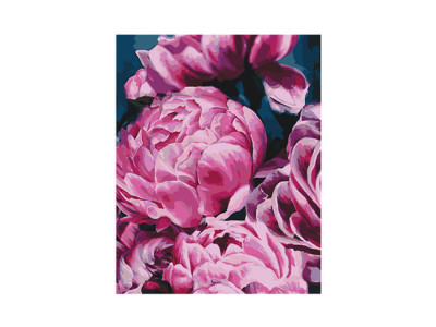 Картина за номерами Оксамитові півонії 2 40*50 КН3002