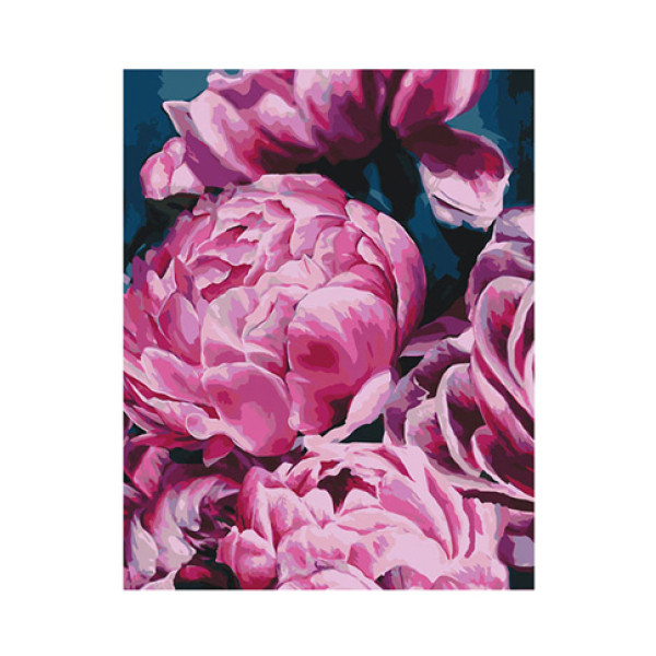 Картина за номерами Оксамитові півонії 2 40*50 КН3002
