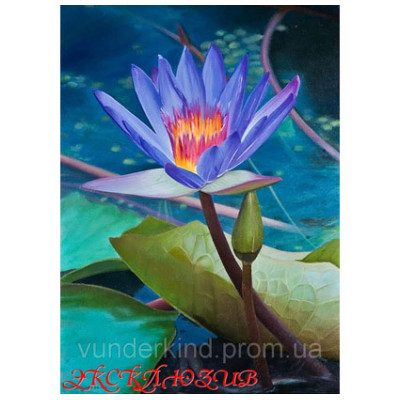 Картини за номерами "Квіти 2" VD 030