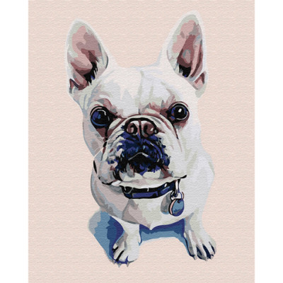 Картина за номерами Милий бульдог 40 x 50 см GX30321