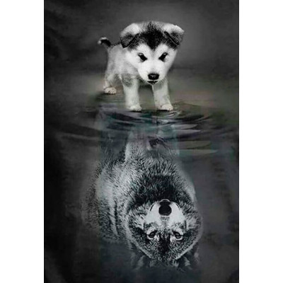 Картина за номерами "Вір у себе" тм Лавка Чудес 40 x 50 см у коробці LC20029 Картина за номерами "Вір у себе" тм Лавка Чудес 40 x 50 см у коробці LC20029