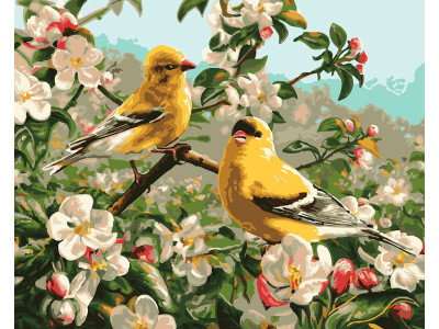 Картина за номерами "Пташки на яблуні" тм Лавка Чудес 40 x 50 см у коробці LC20145