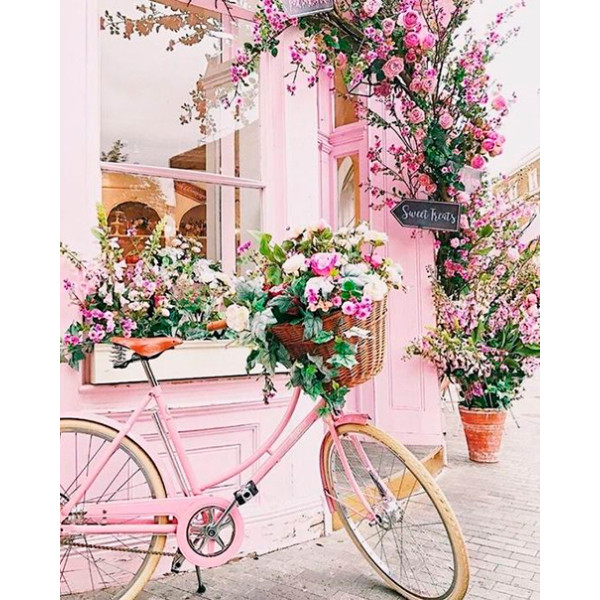 Картина за номерами "Квіти та велосипед" LC40095