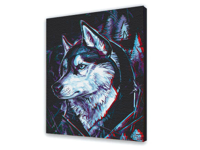 Картина за номерами "Друг Хаскі" 38*50 см 11625-AC