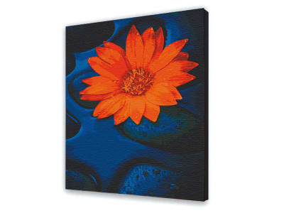 Картина за номерами з лаком ArtCraft квіти "Квітка лотоса" 40*50 см 13124-AC